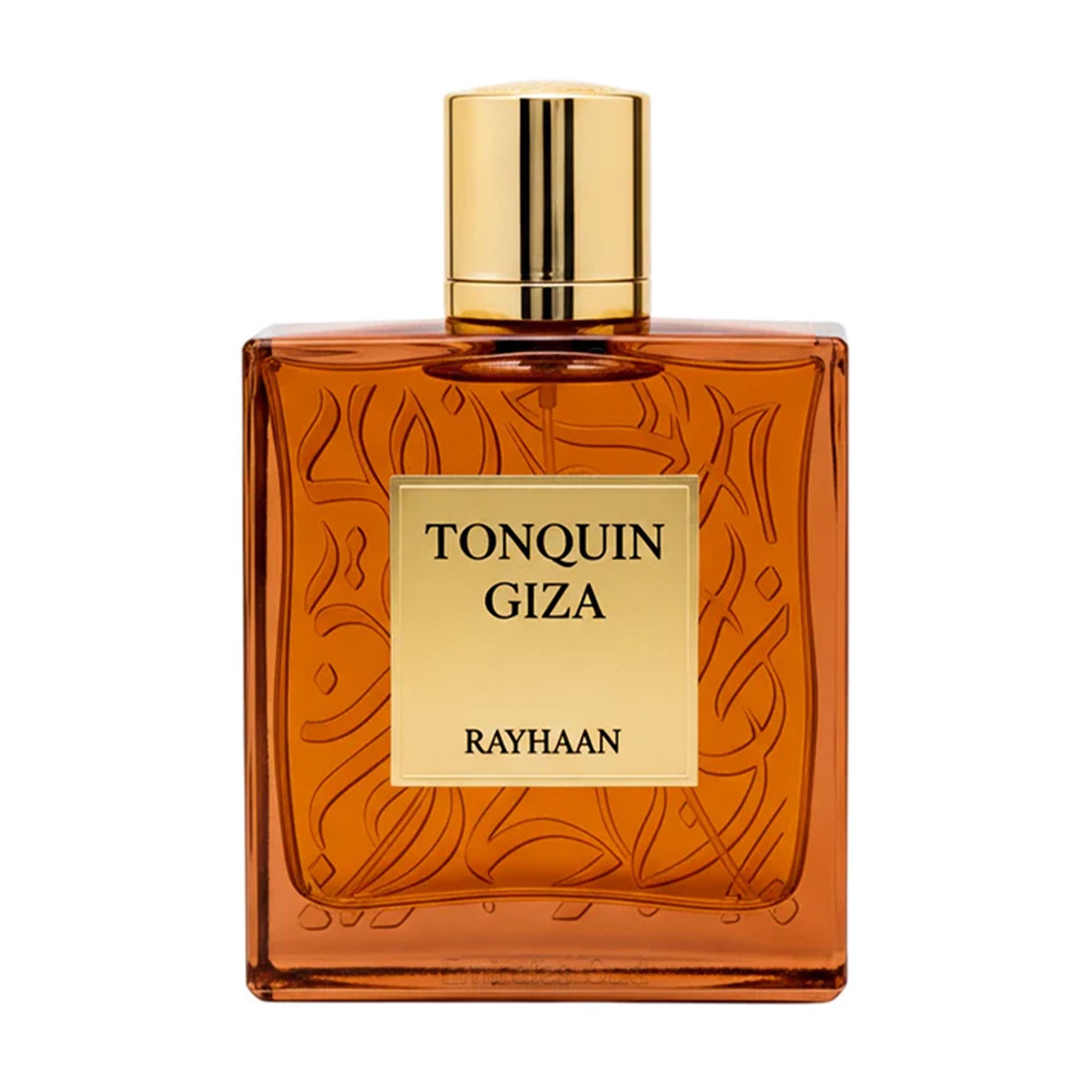 1776150420_2048x2048_69dde7942672c Rayhaan – Tonquin Giza EDP 100ml - Image 1